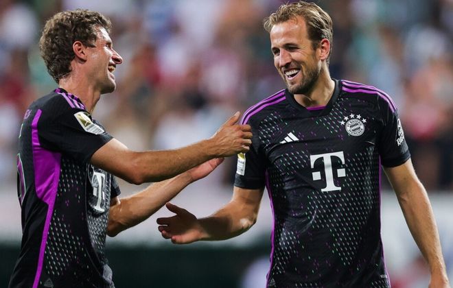 森林的强硬 森林的强硬