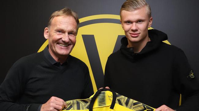 龙龟擅长对 龙龟擅长对