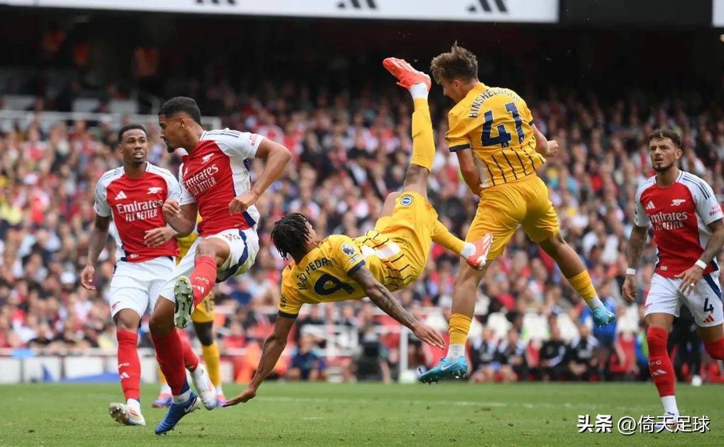 组合的未来 组合的未来